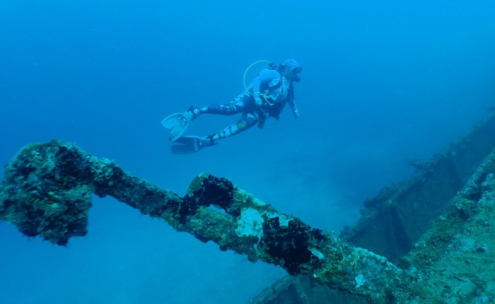Scuba Diving in the Maldives